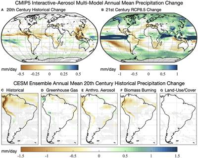 A Socio-Hydrological Perspective on Recent and Future Precipitation Changes Over Tropical Montane Cloud Forests in the Andes
